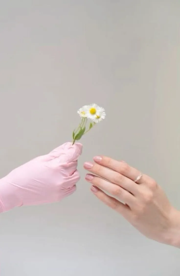 Mão com luva rosa oferecendo uma margarida a uma mão feminina